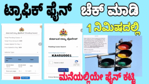 check traffic fines
